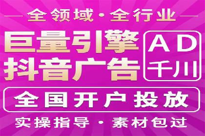 XX行业竞价广告的投放策略与效果分析